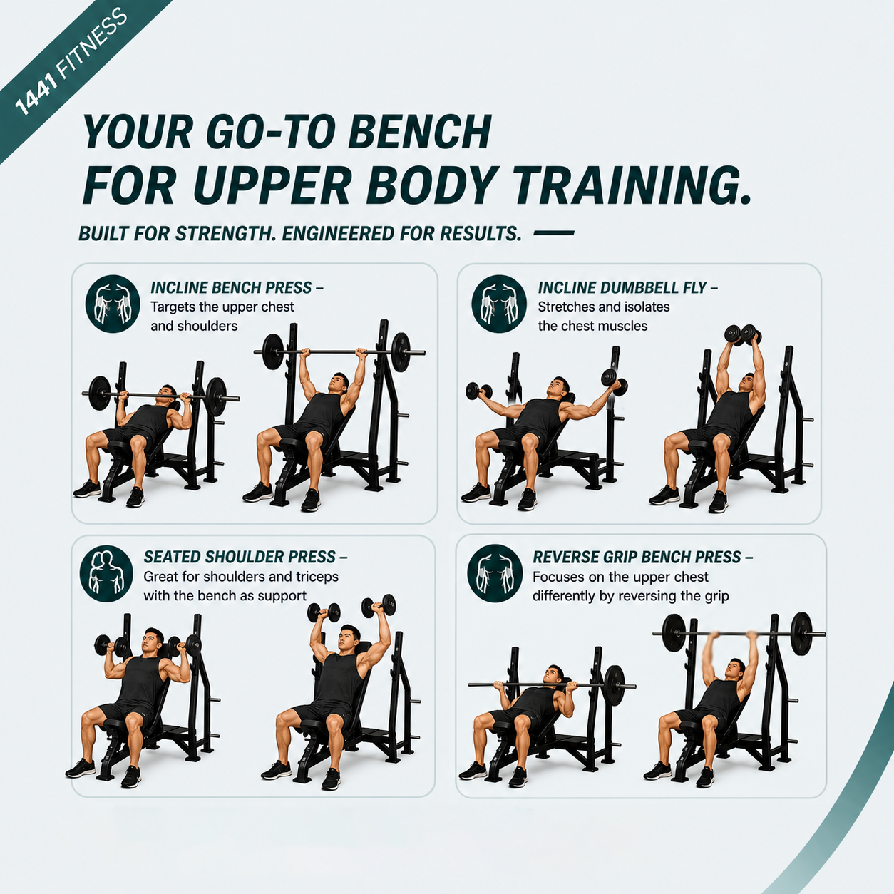 Insight Fitness Incline Olympic Bench - DR005