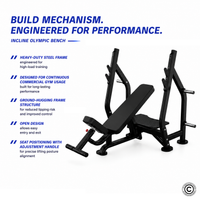 Thumbnail for Insight Fitness Incline Olympic Bench - DR005