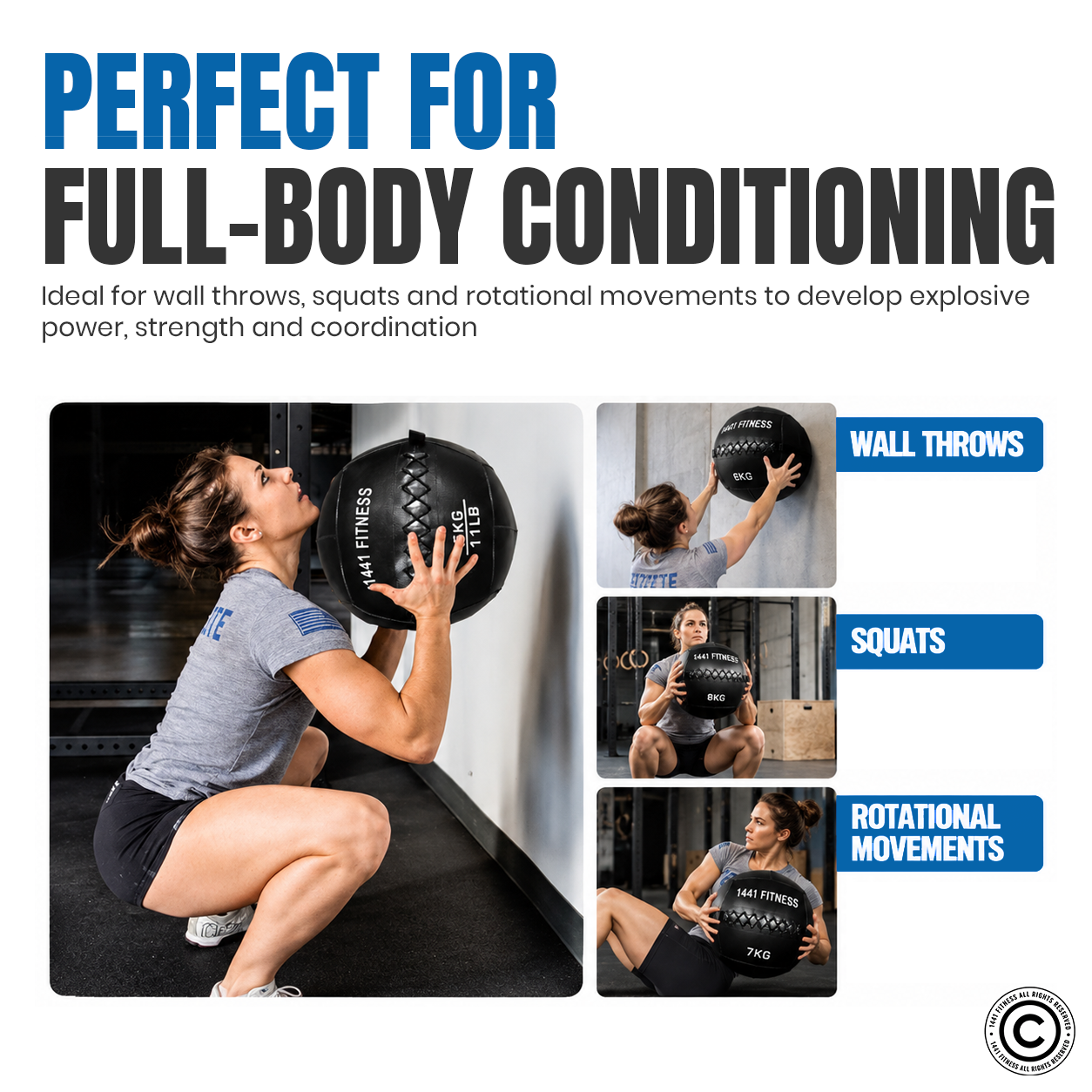 Premium Wall Balls - ( 3 KG to 15 KG)
