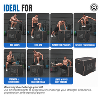 Thumbnail for Black Wooden Plyo box