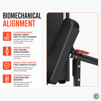 Thumbnail for Insight Fitness Leg Curl / Extension - SA037