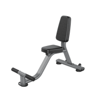 Thumbnail for Insight Fitness Utility bench  - DR024