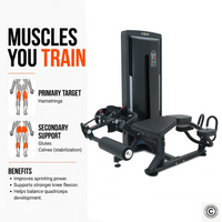 Thumbnail for Insight Fitness SA Series Leg Curl - SA015D