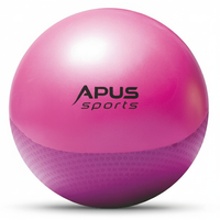 Thumbnail for Apus Anti-Burst Gymnastic Ball - 55 cm