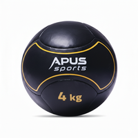 Thumbnail for Apus Poland Medicine Ball - 4 Kg