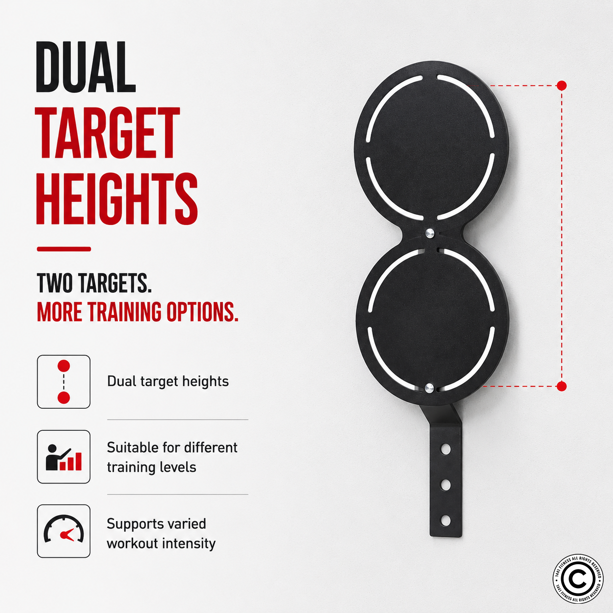 1441 Fitness Dual Wall Ball Target