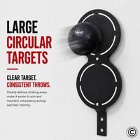Thumbnail for 1441 Fitness Dual Wall Ball Target
