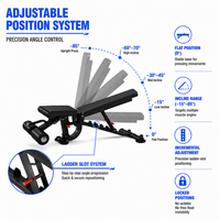 Thumbnail for Insight Fitness Super FID Bench - BS020