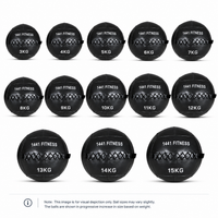 Thumbnail for Premium Wall Balls - ( 3 KG to 15 KG)