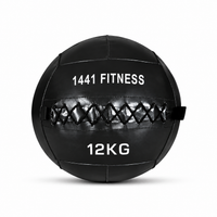 Thumbnail for Premium Wall Balls - ( 3 KG to 15 KG)