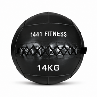 Thumbnail for Premium Wall Balls - ( 3 KG to 15 KG)