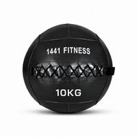 Thumbnail for Premium Wall Balls - ( 3 KG to 15 KG)