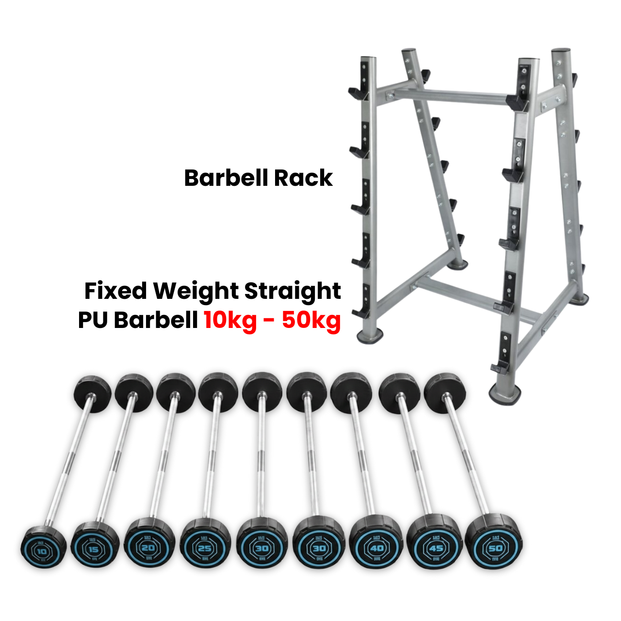Fixed Straight PU Barbell Set with Rack - 10 Kg to 50 Kg