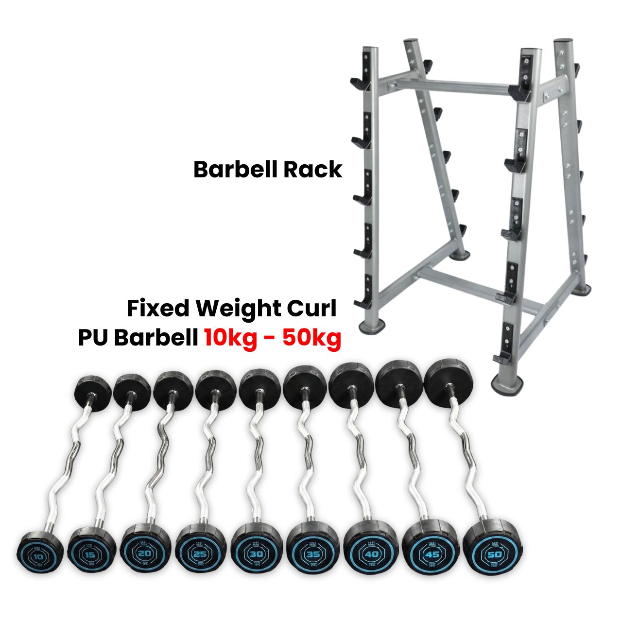 Fixed Weight Curl PU Barbell Set with Rack - 10 Kg to 50 Kg