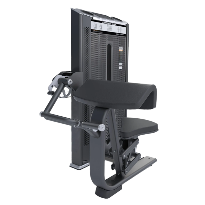 DHZ Fitness Camber Curl - E7030 with white background