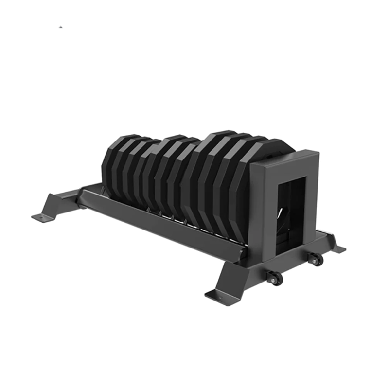 DHZ Fitness Weight Plates Rack - E6233 back view