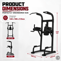 Thumbnail for Insight Fitness Vertical Knee Rise / Dip - DR008