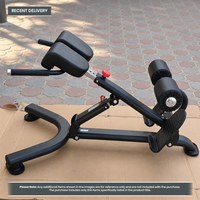 Thumbnail for Insight Fitness Back Extension - DR010