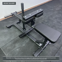 Thumbnail for Insight Fitness Seated Calf Raise - DR011