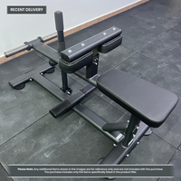 Thumbnail for Insight Fitness Seated Calf Raise - DR011