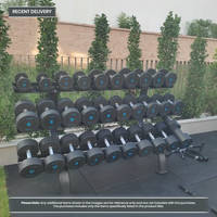 Thumbnail for Insight Fitness 3 Tier Dumbbell Rack - DR027