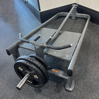 Thumbnail for Insight Fitness Standing T Bar Row - DR037