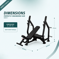 Thumbnail for Insight Fitness Incline Olympic Bench - DR005