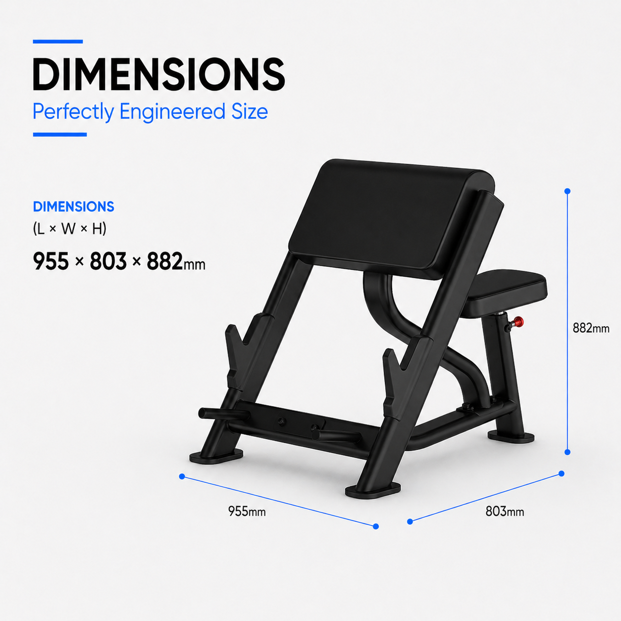Insight Fitness Preacher Curl - DR020