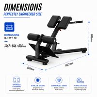 Thumbnail for Insight Fitness Back Extension - DR010