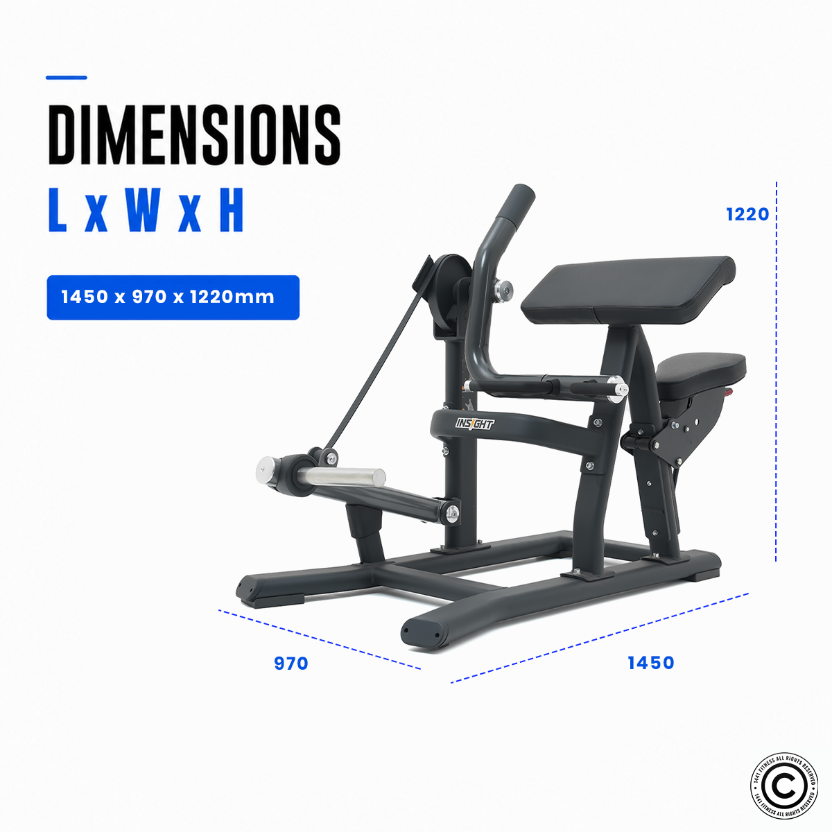 Insight Fitness Biceps Curl - SH018