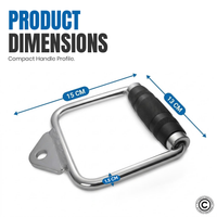Thumbnail for Lat Attachment - Single D Handle