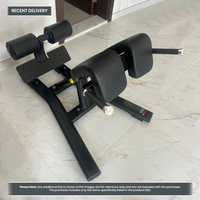 Thumbnail for Insight Fitness Back Extension - DR010