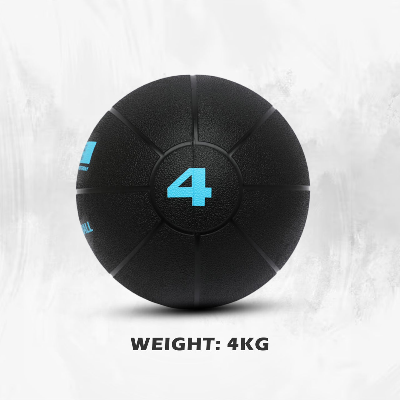 1441 Fitness Medicine Balls 1 to 10 KG