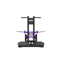 Thumbnail for Insight Fitness Belt Squat - PB312