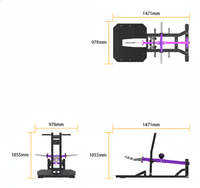 Thumbnail for Insight Fitness Belt Squat - PB312