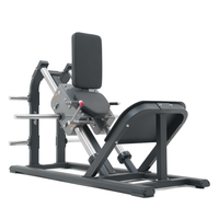 Thumbnail for Insight Fitness Hack Squat  - SH009