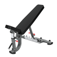 Thumbnail for Insight Fitness Adjustable Bench - DR034 with black upholstery and gray steel frame.
