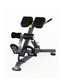 Thumbnail for Insight Fitness Back Extension - DR010 machine with black padding and a metallic frame, featuring adjustable positions for exercise variations.
