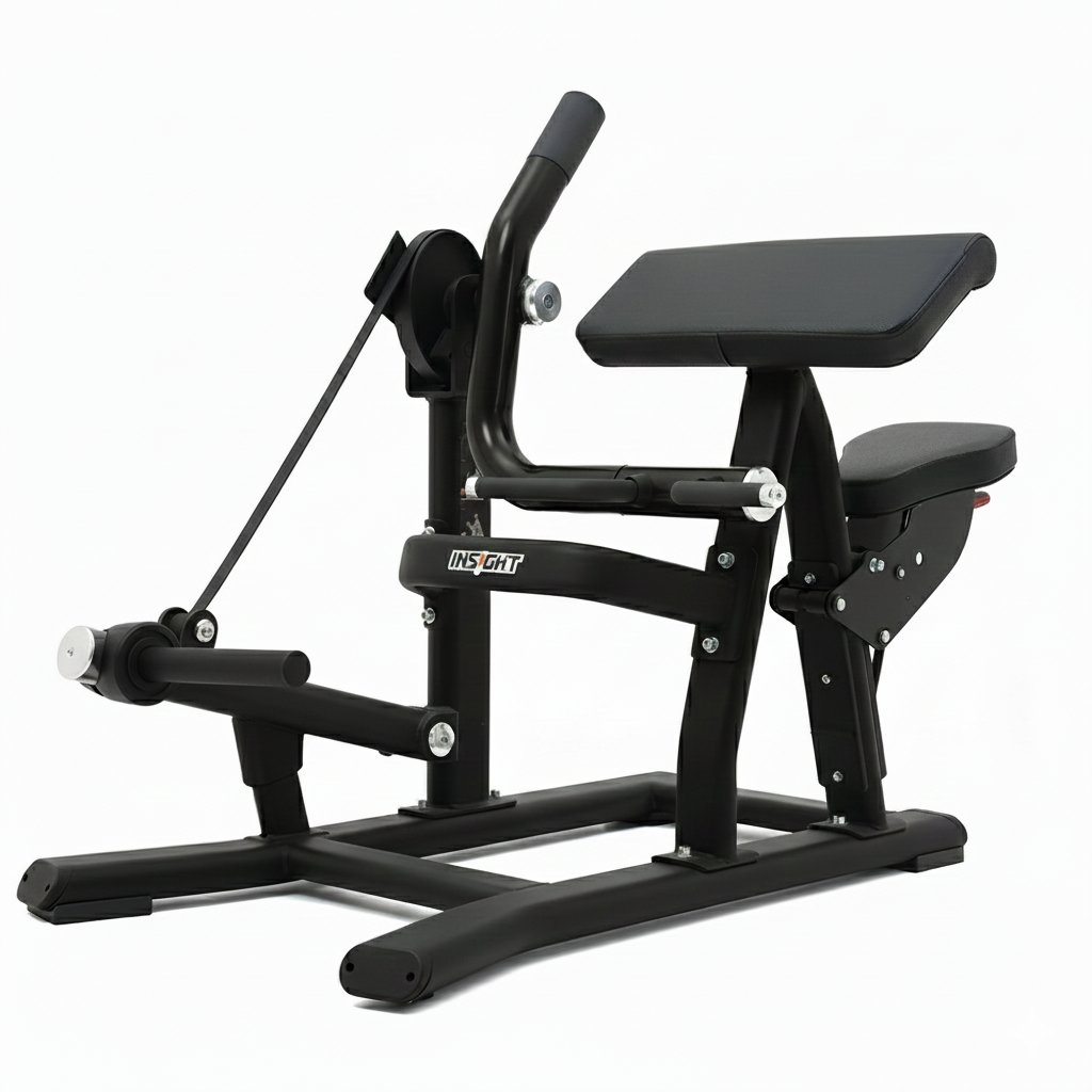 Insight Fitness Biceps Curl - SH018 with 'Insight' branding on a white background