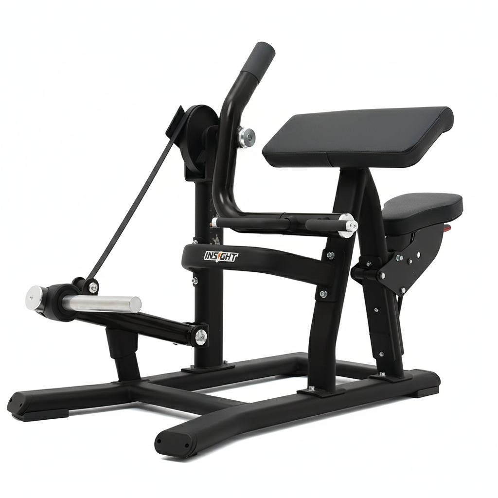 Insight Fitness Biceps Curl - SH018 with 'Insight' branding on a white background