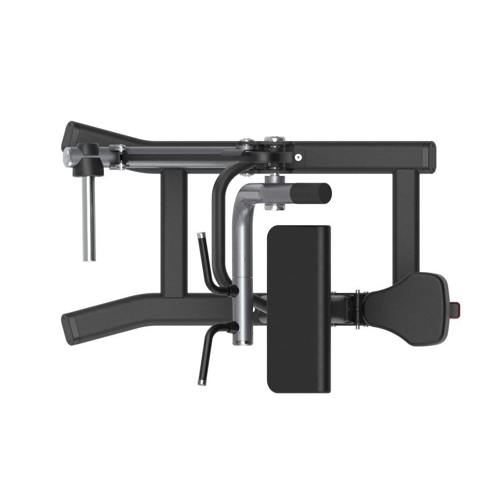 Insight Fitness Biceps Curl - SH018 or stand on a white background