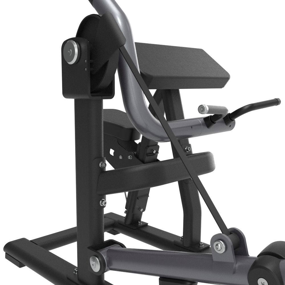 Insight Fitness Biceps Curl - SH018 with black and gray design on a white background