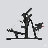 Thumbnail for Insight Fitness Biceps Curl - SH018 on a white background