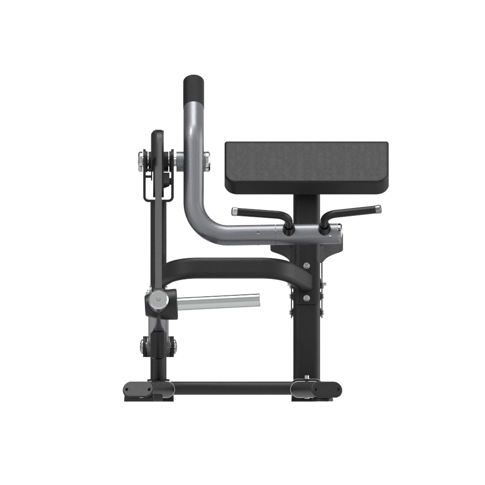 Insight Fitness Biceps Curl - SH018 on a white background