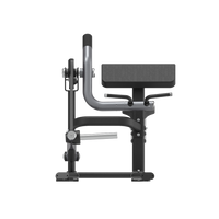 Thumbnail for Insight Fitness Biceps Curl - SH018 on a white background