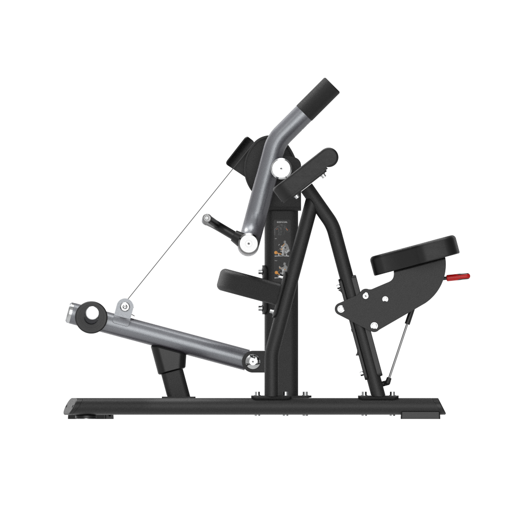 Insight Fitness Biceps Curl - SH018 on a white background