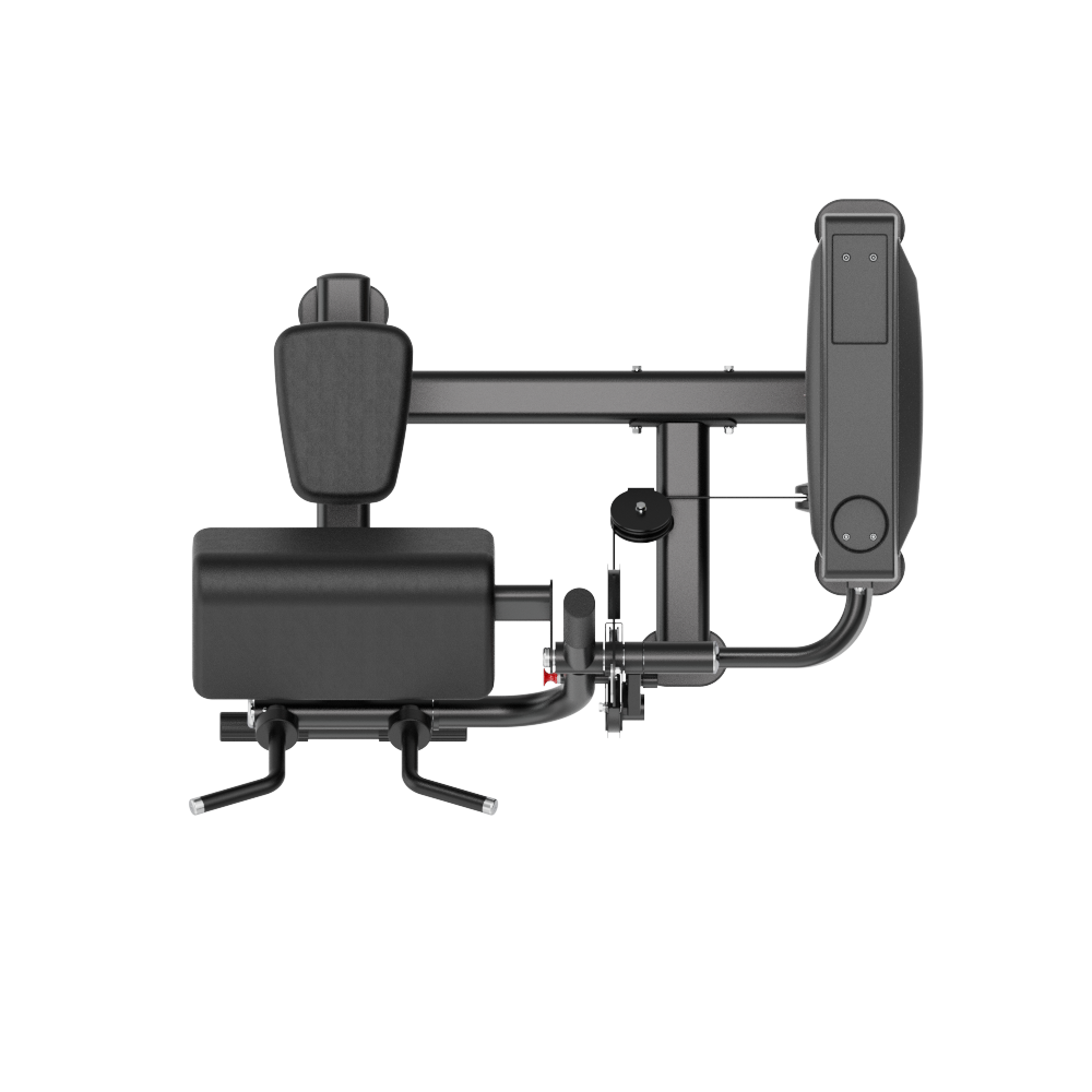 Insight Fitness Biceps & Triceps - SA044 on a white background