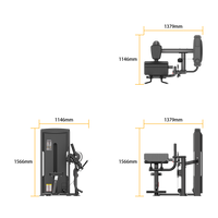 Thumbnail for Insight Fitness Biceps & Triceps - SA044 with dimensions labeled on a white background