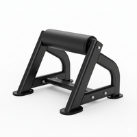 Thumbnail for Insight Fitness Bulgarian Split Squat - DR040 on a white background