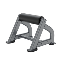 Thumbnail for Insight Fitness Bulgarian Split Squat - DR040 with white background